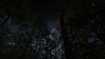 Camping Vlog Simulator 2024 * STEAM RU * АВТО *0%