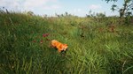 Russian soul simulator * STEAM RU * АВТО *0%