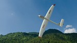 RealFlight Evolution - Tower Hobbies ASW-28 DLC