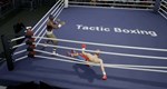 Tactic Boxing * STEAM РОССИЯ * АВТОДОСТАВКА *0% КАРТЫ