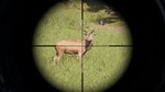 Project Hunt * STEAM РОССИЯ * АВТОДОСТАВКА *0% КАРТЫ