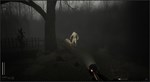 Descending The Woods * STEAM RU * АВТО *0%