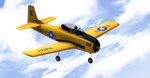 RealFlight Evolution * STEAM RU * АВТО *0%
