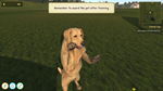 Animal Trainer Simulator * STEAM RU * АВТО *0%