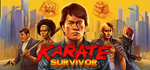 Karate Survivor * STEAM RU * АВТО *0%