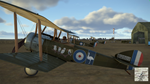 IL-2 Sturmovik: Flying Circus - Volume IV DLC