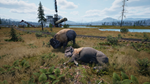 Railroads Online - Explorer DLC * STEAM RU * АВТО *0%