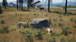 Railroads Online - Explorer DLC * STEAM RU * АВТО *0%