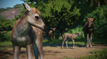 Planet Zoo: Asia Animal Pack DLC * STEAM RU *