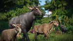 Planet Zoo: Asia Animal Pack DLC * STEAM RU *