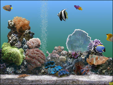 Хранитель экрана  Marine Aquarium 2.6 (Полная версия)