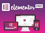 Лицензия Elementor Pro со всеми обновлениями на 1 год