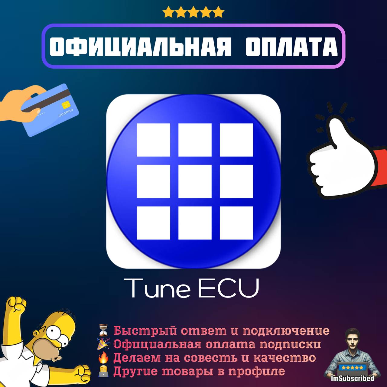 TuneECU Subscription | TuneECU | Official Payment | 1 Year photo 1