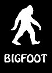 ✅ BIGFOOT (Общий, офлайн)