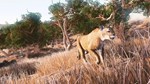 Hunting Simulator КЛЮЧ* STEAM РФ+СНГ