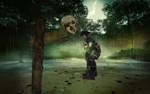 Risen 2: Dark Waters - Gold Edition КЛЮЧ* STEAM ВСЕ СТ