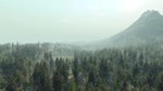 Life is Feudal: Your Own КЛЮЧ* STEAM ВСЕ СТРАНЫ