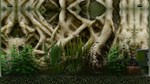 Biotope КЛЮЧ* STEAM РФ+СНГ