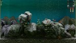 Biotope КЛЮЧ* STEAM РФ+СНГ