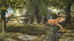 Big Buck Hunter Arcade КЛЮЧ* STEAM РФ+СНГ