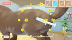 My Universe: Pet Clinic Cats&Dogs КЛЮЧ* STEAM РФ+СНГ