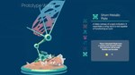 InnerSpace КЛЮЧ* STEAM ВСЕ СТРАНЫ