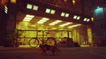 Stray КЛЮЧ* STEAM РФ+СНГ