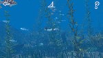 Storm Boy КЛЮЧ* STEAM РФ+СНГ