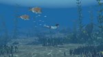 Storm Boy КЛЮЧ* STEAM РФ+СНГ