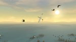 Storm Boy КЛЮЧ* STEAM РФ+СНГ