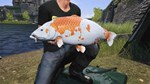 Euro Fishing: Ultimate Edition КЛЮЧ* STEAM ROW