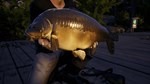 Euro Fishing: Ultimate Edition КЛЮЧ* STEAM ROW