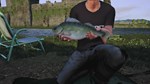 Euro Fishing: Ultimate Edition КЛЮЧ* STEAM ROW