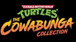 Teenage Mutant Ninja Turtles: The Cowabunga Collection