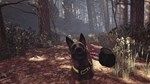 Blair Witch КЛЮЧ* STEAM ВСЕ СТРАНЫ