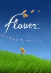 Flower КЛЮЧ* STEAM ROW