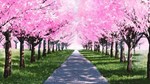 My Summer Adventure: Memories of Another Life КЛЮЧ*