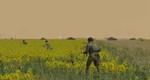 DLC Combat Mission: Red Thunder - Battle Pack 1 КЛЮЧ*