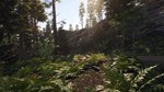 SCUM: Supporter Bundle КЛЮЧ* STEAM RU+СНГ (AM, AZ, GE,