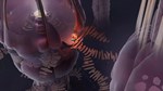 Cocoon КЛЮЧ* STEAM ROW
