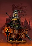 DLC Darkest Dungeon: The Shieldbreaker КЛЮЧ* STEAM