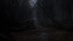 Horror Story: Hallowseed КЛЮЧ* STEAM RU+СНГ+ASIA+LATAM