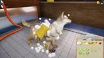 Animal Shelter КЛЮЧ* STEAM ВСЕ СТРАНЫ
