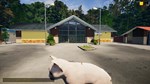 DLC Animal Shelter - Puppies & Kittens DLC КЛЮЧ* STEAM