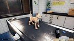DLC Animal Shelter - Puppies & Kittens DLC КЛЮЧ* STEAM