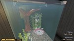 Pets Hotel КЛЮЧ* STEAM ВСЕ СТРАНЫ