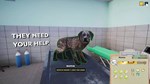 DLC Animal Shelter - Vet Clinic DLC КЛЮЧ* STEAM ВСЕ СТ