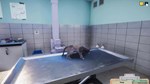 DLC Animal Shelter - Vet Clinic DLC КЛЮЧ* STEAM ВСЕ СТ