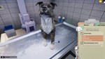 DLC Animal Shelter - Vet Clinic DLC КЛЮЧ* STEAM ВСЕ СТ