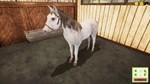 DLC Animal Shelter - Horse Shelter DLC КЛЮЧ* STEAM